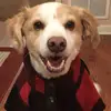 JoshKoren - @joshthesquash4599 - TikTok