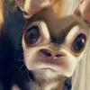 josh_laing2 - @josh_laing2 - TikTok