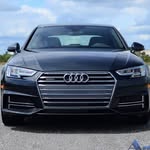 Josh Laing - @_lainger_ - Instagram