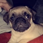josh lancaster - @josh_lancaster9 - Instagram
