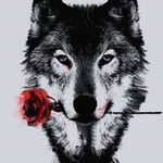 Josh Lanham - @jay.lanham.9 - Instagram