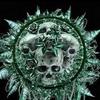 joshbeliew865 - @joshbeliew865 - TikTok