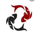 Josh Linford - @joshlinford_fishing - Instagram