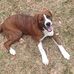 Josh Longfellow - Facebook