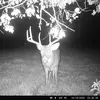 Josh Ludwig - @ludwig1433 - TikTok