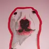 joshludwig6 - @joshludwig6 - TikTok