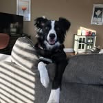 Josh Mabel - @jmabel01 - Instagram