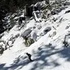 Joshua MacDonald - @joshua.macdonald10 - TikTok