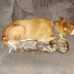 Josh Mapes - Facebook