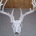 Josh Marrs - Facebook