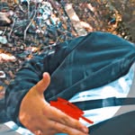 Josh marsden - @joshmarsden8 - Instagram