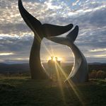 Josh Mather - @whatisamather - Instagram