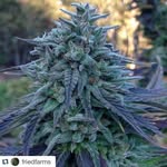 Josh Maye - @maye.josh01 - Instagram