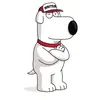 josh mayer - @josh.mayer - TikTok
