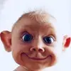 Josh Mayes - @josh_mayes_12 - TikTok