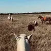 Josh Mayes - @joshmayes1979 - TikTok
