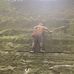 Josh Mayes - Facebook