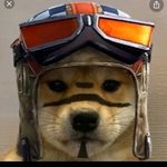 josh mchugh - @blue_tiko - Instagram
