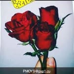 Josh_mclain - @josh_mclain6 - Instagram