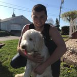 Josh__mcneill - @josh__mcneill - Instagram