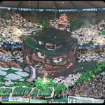 Josh mcneill - @joshy.bhoy1888 - Instagram