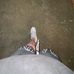 Josh Mcneill - Facebook
