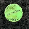 Josh McWilliams - @gardenbroya - TikTok