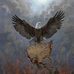 Josh Mcwilliams - Facebook