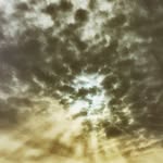 Josh McWilliams - @joshmcwilliams321 - Instagram