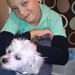 Josh Meadows - @jmeadowsgti - Instagram