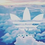 joshu witton 13450 - @josh_michel_witton - Instagram