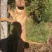 Joshua Mims - Facebook