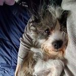 Josh Mosby - @josh_mozenator - Instagram
