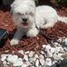 Joshua Mosby - Facebook