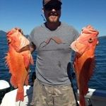 Josh Moser - @josh.moser.1654 - Instagram