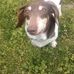 Josh Mullins - Facebook