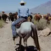 josh.munoz12v - @josh.munoz12v - TikTok
