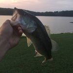 Josh Murdock - @josh.murdock36 - Instagram