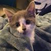 Joshna_Y - @joshna_y - TikTok
