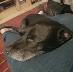 Josh Norris - Facebook