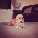Josh Norton - @josh_norton_spam - Instagram