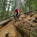 Josh Norton - Facebook