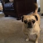 @josh_nutter76 - Instagram