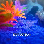 Josh Nye - @eyeofnye - Instagram