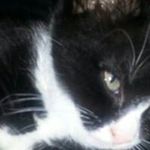 Josh Oldham - @oldham.josh - Instagram