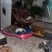Josh Osborn - Facebook