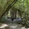 Joshua Osborn - @joshua.osborn4 - TikTok