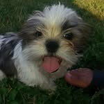 Joshua Ozuna - @joshozuna - Instagram