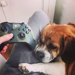Josh - @joshpackard_216 - Instagram
