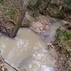 Josh Page - @josh.page83 - TikTok